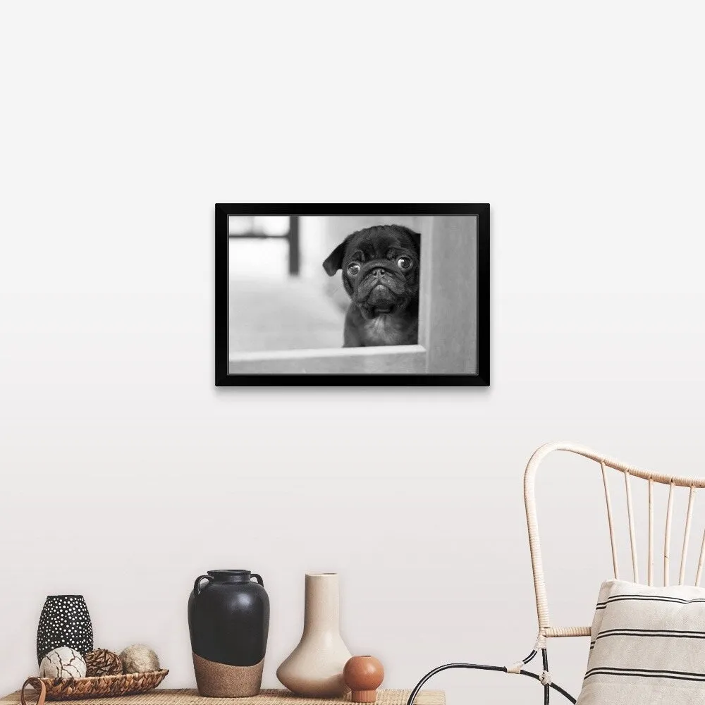 "Black Pug puppy" Black Framed Print