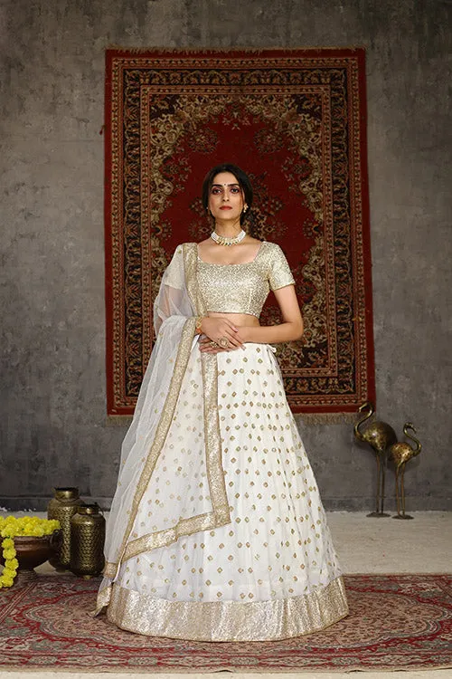 Traditional Indian Bridal Style Net Embroidered Lehenga Choli